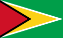 圭亚那国旗